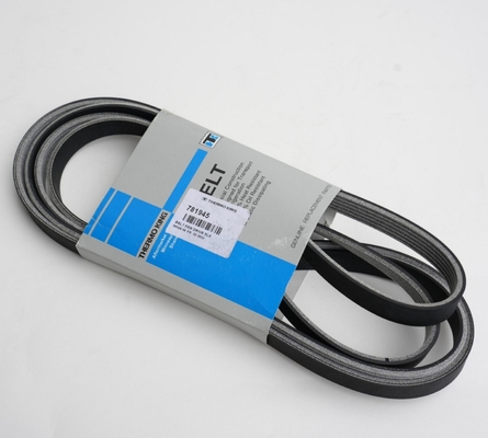 781945 THERMO KING Cinturón para el espectro de la luz