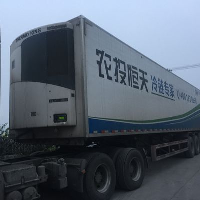 Unidad congeladora Thermo King 0 Celsius SLXI 300 para enfriamiento de alimentos