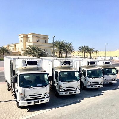 Oasis 260 Unidad de refrigeración transicold disponible para el camión de caja frigorífica de 5-6 metros disponible para 50 grados Temperatura ambiente buen precio