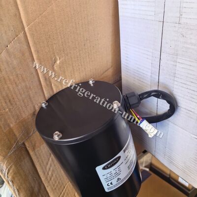 54-00691-20/54-00691-00 Piezas originales del transportista MOTOR EVAPORADOR disponible para la unidad de remolque HE19 13,11 KG de peso neto